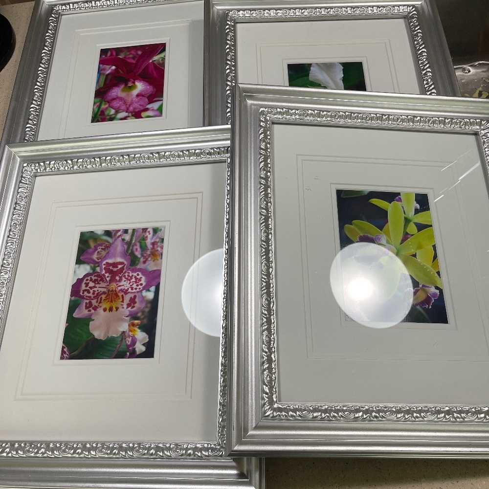 Set of 4 frames with orchids photos